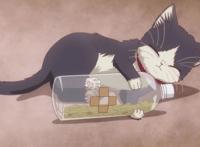 在动漫中云吸猫：七部猫片推荐，最后一部要父母陪同观看