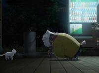 动漫《想哭的我戴上了猫的面具》：治愈背后的致郁，成年人才懂