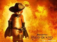 六部经典猫咪动漫值得推荐