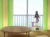 最长情的告白就是陪伴！她和她的猫，治愈也致郁！