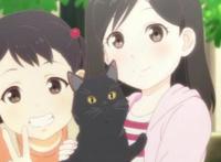 《她和她的猫》：猫和人的故事，带给我们怎样温情的感受？