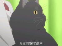 温暖又悲伤，新海诚《她与她的猫》