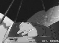《她和她的猫》—初识新海诚，残酷的生活与美好的向往