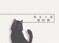 动画《她和她的猫》，时间交错的日子，是我最美好的回忆