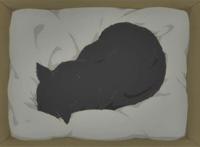 新海诚の动画作品：《她和她的猫》