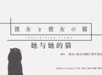 新海诚催泪杰作《她和她的猫》养猫之人的痛！