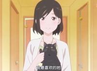 新海诚催泪杰作《她和她的猫》养猫之人的痛！