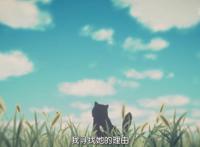 新海诚催泪杰作《她和她的猫》养猫之人的痛！
