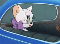 动漫里的母猫太美了！苗条微胖富婆应有具有，老鼠都和猫抢女朋友