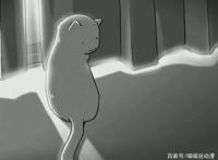 《她和她的猫》：新海诚配音的暖心动漫短剧，却隐秘地述说着分离