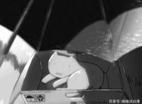 《她和她的猫》：新海诚配音的暖心动漫短剧，却隐秘地述说着分离