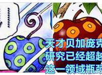 海贼王SBS，尾田解答SMILE果实谜团，贝加庞克突破幻兽种的领域