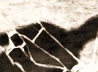 进击的巨人：动画第二季的ed伏笔被部分回收，更多谜团还未揭开