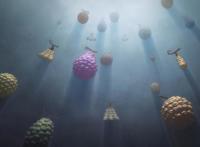 海贼王中的20个未解之谜，涉及多个领域，牵扯到许多大人物