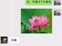 做“动漫”究竟有没有未来？这是最燃的回答