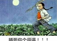 网文界的饕餮盛宴，每本都是五星神作