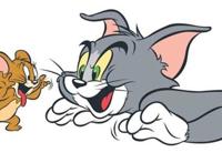 猫和老鼠：相爱相杀做邻居，一起过日子呀