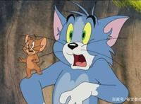 猫和老鼠：相爱相杀做邻居，一起过日子呀