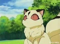 犬夜叉里可爱的小云母竟然是因为这个原因留在珊瑚身边的