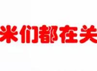 海贼王918话：刚刚，小玉能力被确定，驯服半人马美女台柱叫主人