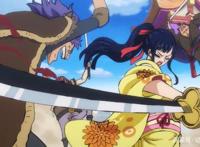 海贼王904集：小菊装清纯被索隆识破，半人马美女斯皮德出场！