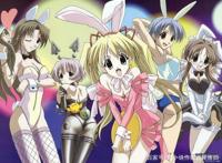 经典后宫动漫推荐，没有被快餐化侵蚀的阿宅纯真之梦