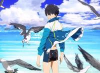《FREE！》：这部番帅我一脸，七濑遥还真是受欢迎，跟谁都合得来