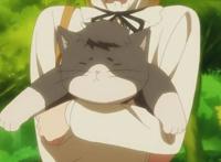 多田君不恋爱，因为他有大喵了啊