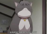 《多田君不谈恋爱》：深藏功与名的猫，终究逃不过恋爱的魔咒