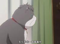 《多田君不谈恋爱》：深藏功与名的猫，终究逃不过恋爱的魔咒