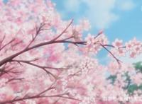 四月新番：樱花盛开的季节，多田君说他不恋爱，谁信呢！