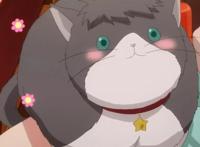 《多田君不恋爱》，美丽耀眼的邂逅，罗马假日的王道展开