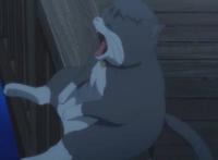 春番《多田君不恋爱》，又到虐单身狗时刻！