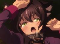 6位动漫中召唤男主到异世界的各种美少女们，你最希望被谁召唤？