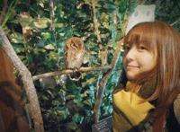 二次元声音合集，动漫声优大盘点（第一期）