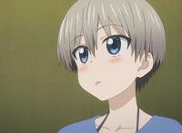 宇崎酱：真一找小花一起去猫咖啡店，为了给小花庆祝生日大喝一场