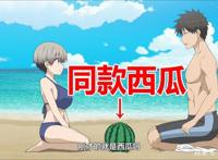 宇崎酱想要玩耍：你们觉得赌上卡Q因的灵魂，能体验同款西瓜吗？