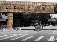 速看！九大美院和艺术名校哪些专业无需校考？