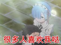 欧美网友选出24位动漫人气女角色，“异世界”中的雷姆上榜