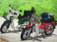 《本田小狼与我》a站没法播的番，竟然在某站出现，蜀黍又赢了