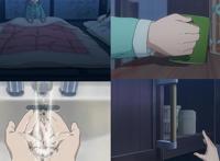 本田赞助的治愈日常动画，浅析豆瓣9.0佳作《本田小狼与我》