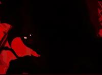 推荐一部一口气，通宵也要看完的佳作。（日漫）