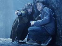 哈利波特：小天狼星说哈利很像詹姆斯，卢平说出了真相