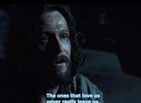 哈利波特：小天狼星说哈利很像詹姆斯，卢平说出了真相