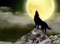 天狼不是高开低走，而是各种原因所致，非常遗憾的一部番剧