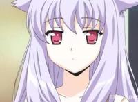 摸摸头，乖！这五位可爱的兽娘女友，宅男统统想抱回家