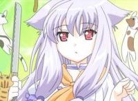 动漫中的那些兽耳少女，绯鞠和小空都上榜，你想娶哪一只回家？