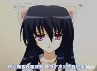 动漫中的那些兽耳少女，绯鞠和小空都上榜，你想娶哪一只回家？