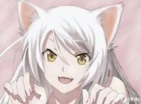 动漫中那些“猫娘”角色，第四位居然是一位男生？