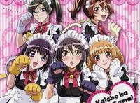 旧瓶新酒，水土不服的女仆店前路依然未卜